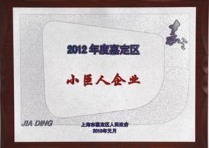 2012年度嘉定区小巨人企业