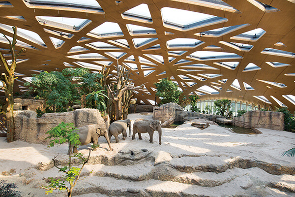 木建筑不只被用于住宅，也开始应用在公共建筑，瑞士苏黎世动物园的大象馆，便别出心裁使用大跨距的木构天幕，为象群营造充满自然气息的生活环境。