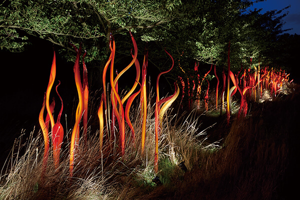 奇胡利结合植物园环境，模拟自然生态，创作出令人惊艳的玻璃地景艺术。