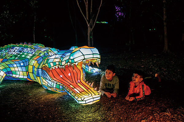 设置于雪梨塔隆加动物园内的灯光装置。