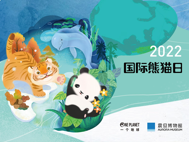图一：2022国际熊猫日，呼吁大众关怀与保护濒危物种