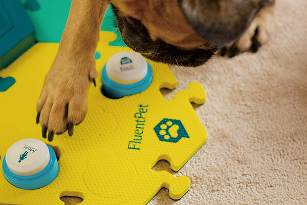 「流利宠物语言」以可录下语音的按钮，加上六角止滑板，训练狗儿表达自己的需求。