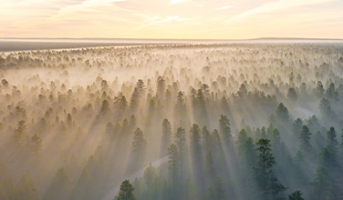 Green &amp; Low-Carbon