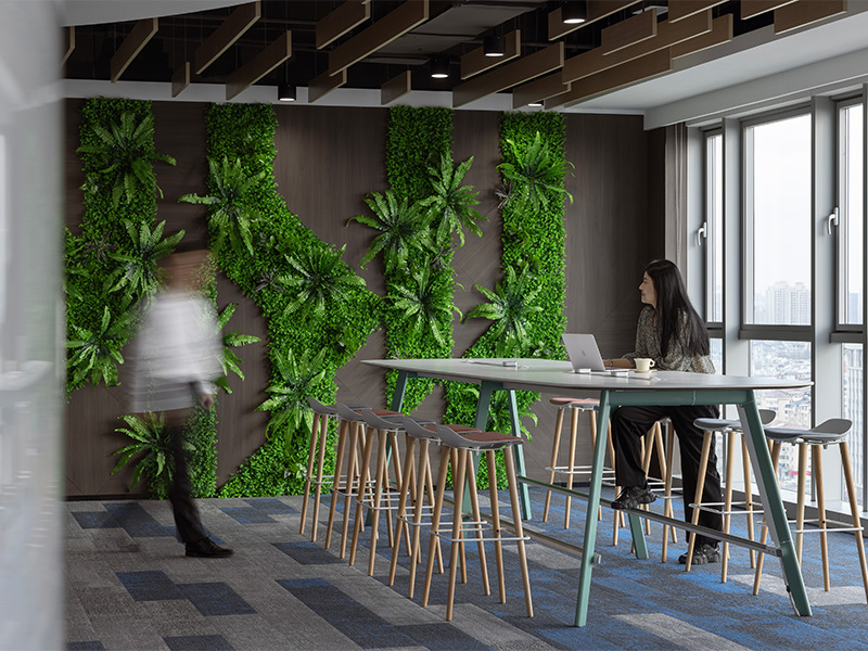 Aurora furniture