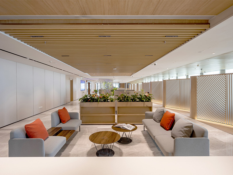 Aurora furniture