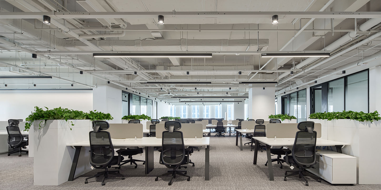 Aurora furniture