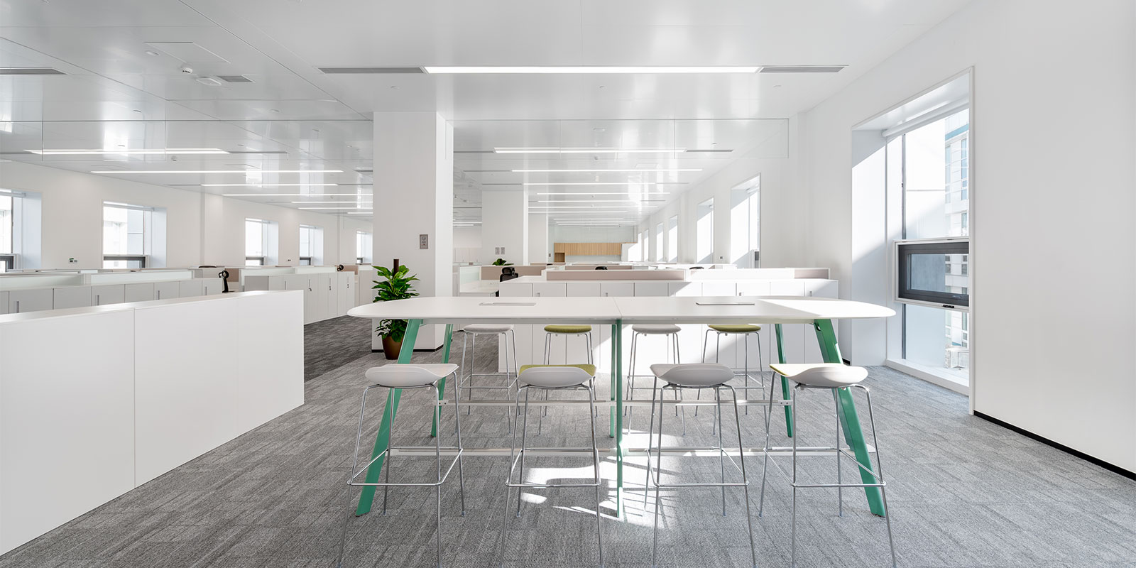Aurora furniture