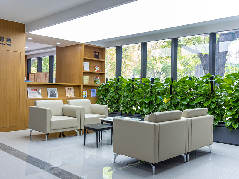 Aurora furniture