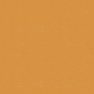 WS-001KT