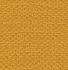 FP-HL45