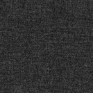 FP-S55
